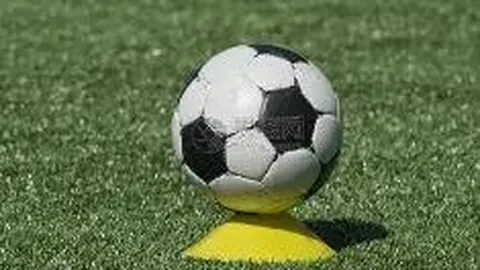 好博体育 资讯 144118 aqz