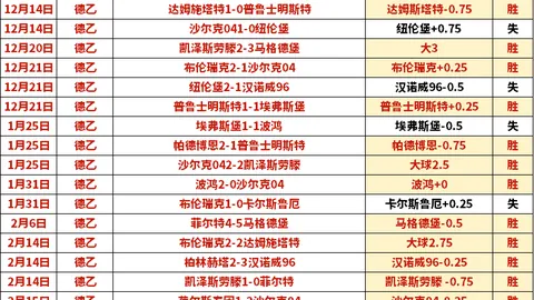 罗韦拉与贡多齐受贝隆青睐，扎卡尼天赋出众。